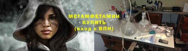 твердый Тайга
