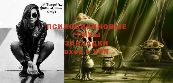 гидропоника Белоозёрский