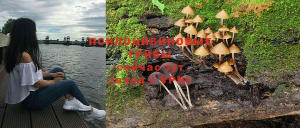 кокс Богородск
