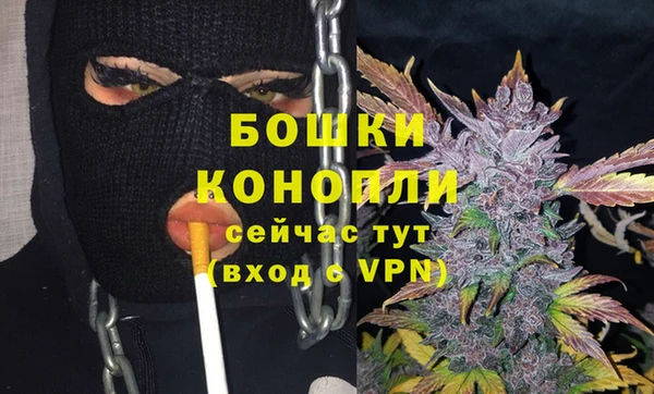 2c-b Белокуриха