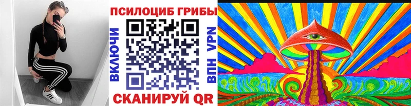 Псилоцибиновые грибы прущие грибы  наркота  Качканар 